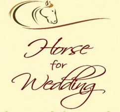 Horse For Wedding