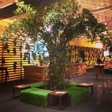 Modern Event Rental