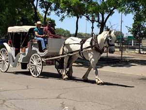 Sterling Wine Carriages