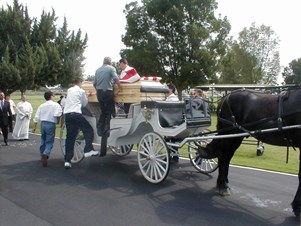Noland's Horse-Drawn Carriages