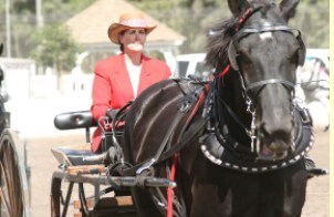 Always & Forever Carriage Co