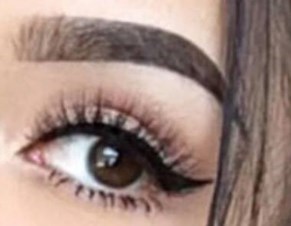 Para Brows