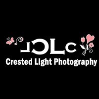Crested Light Photography