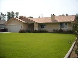 Ravi Maddali Realtor