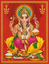 Jyotish Jani Priest