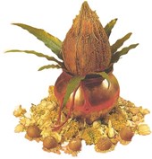 Divine Hindu Ritual Services