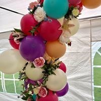 Bay Area Balloon