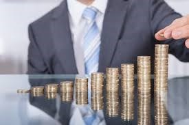 Vijay Raj Financial Advisor