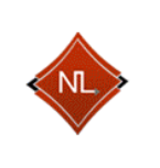 Next Level Tax Inc