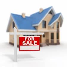 Sejal V Amin Realtor