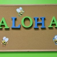ALOHA Learning Center Of Mason