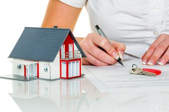 Vijaya Hari CPA