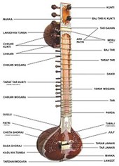 Kamal Mishra Violinist