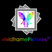 Vividframe Pictures