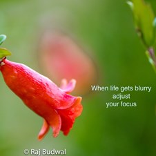 Budwal Photography