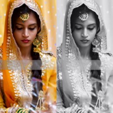 Veiled Beauty