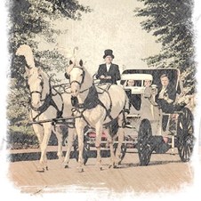 Threejays Carriages