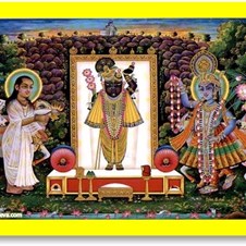 Shrinathji Vegetarian Cuisine