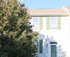 Isha Shandilya - Realty Mark Associates