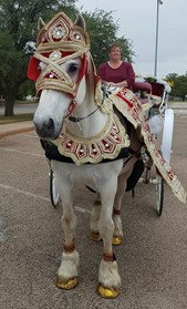 Brazos Carriage Company
