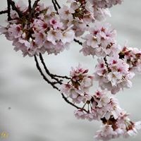 G.M Photography