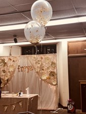 Decor Art Event Decorators Schaumburg, IL