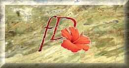 Floral Design Of Europe