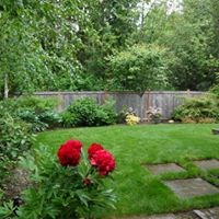 Hayes Landscape Design Services