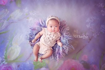 Clairebear Photography Studio
