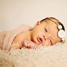 Cindy B. Thymius Photography