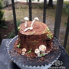 Cake Ever After - By Shuchi