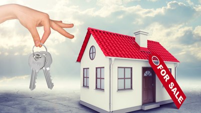 Chandramohan Swamy Realtor