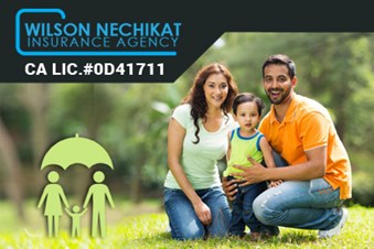 Wilson Nechikat Insurance Agent