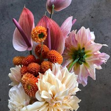 Camelback Flowershop