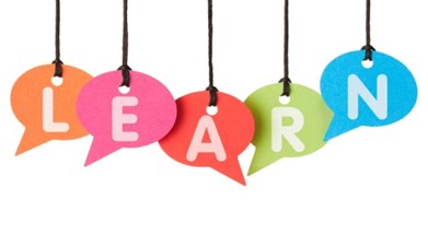 Experienced English Tutor Available