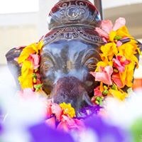 Mahesh's Photography
