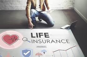 Arya Moshrefi Insurance Agent