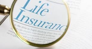 Yoshi Ogawa Insurance Agent