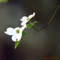 4 Lines Photography