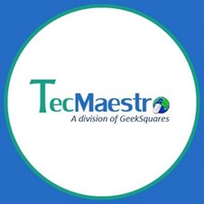TecMaestro I.T Solutions