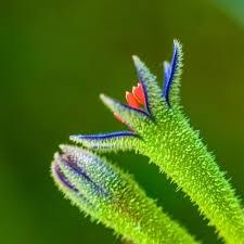 Top Fotography