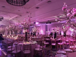 DJ Raj Entertainment & Event Lighting