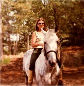 Indian Wedding Horses