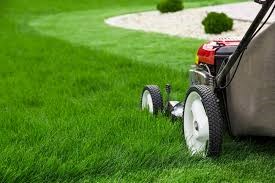 Natural Way Lawn And Tree Care