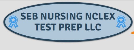 SEB Nursing Test Prep LLC