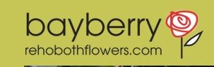 Bayberry Flowers