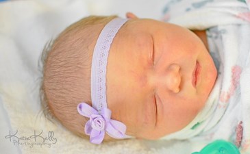Katie Kelly Photography LLC