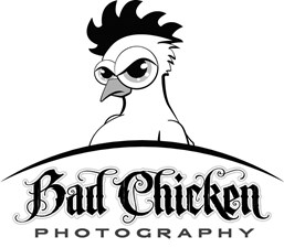Bad Chicken Photography