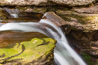 1019 Photography