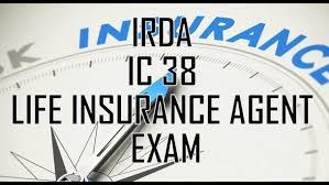 Nilima (Salima) Ali Insurance Agent